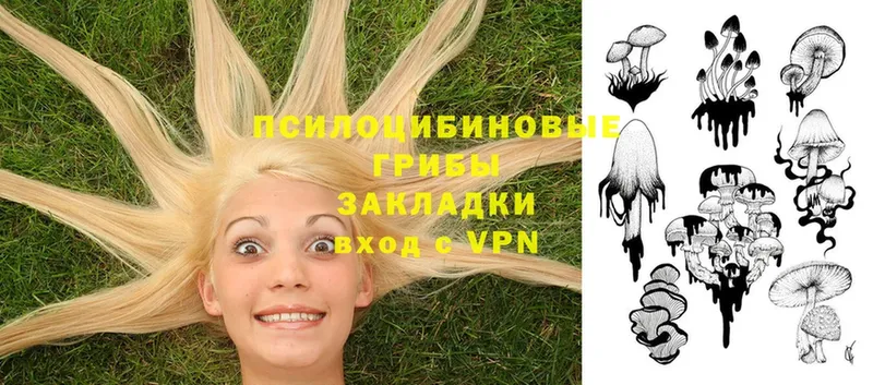 Галлюциногенные грибы мицелий  omg ссылка  Берёзовский 